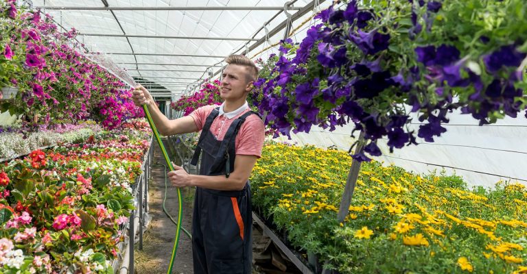 Azubi gießt pflanzen des Zierpflanzenbau