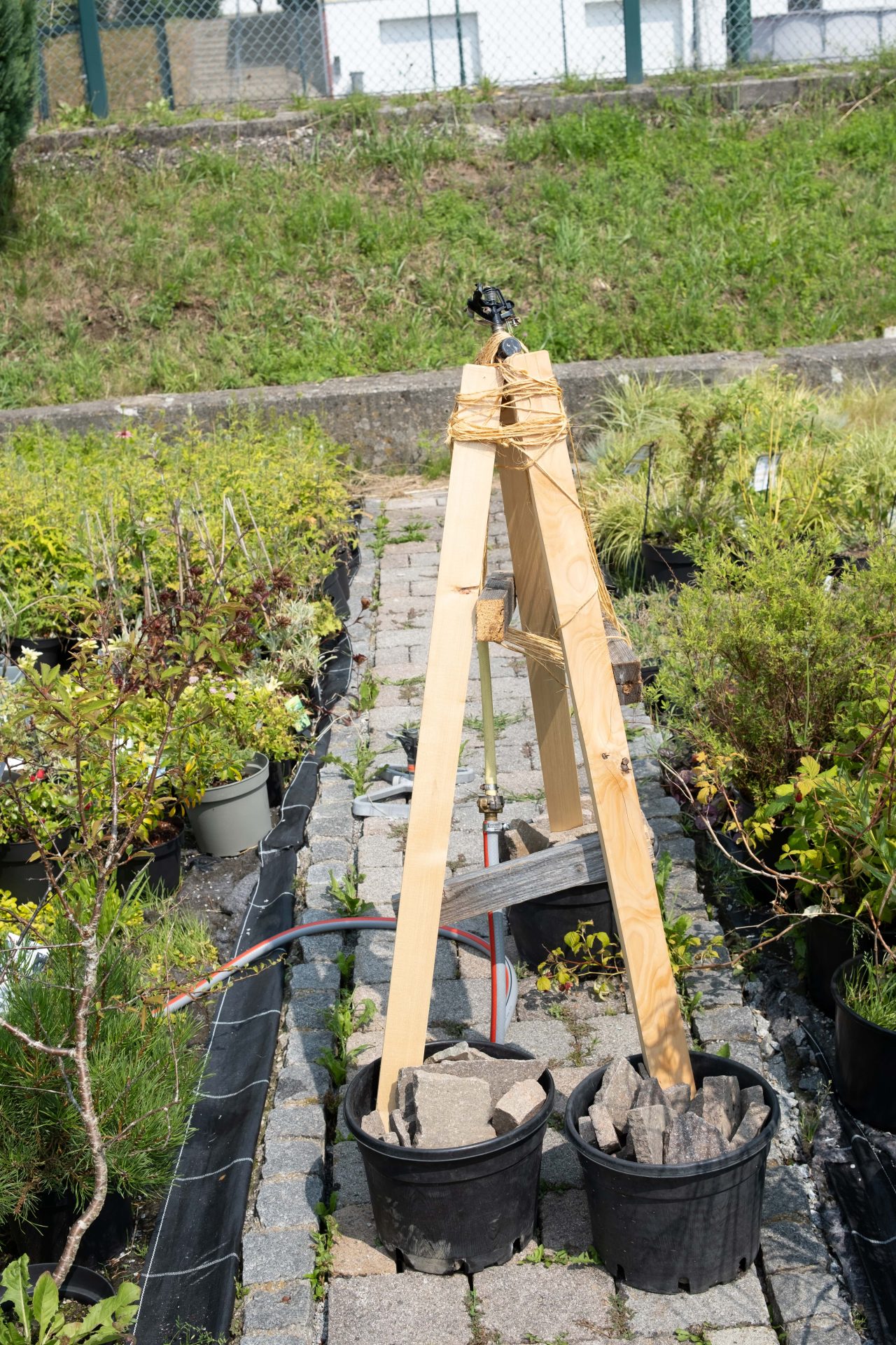 Holzgestell für Bewässerung im Zierpflanzenbau